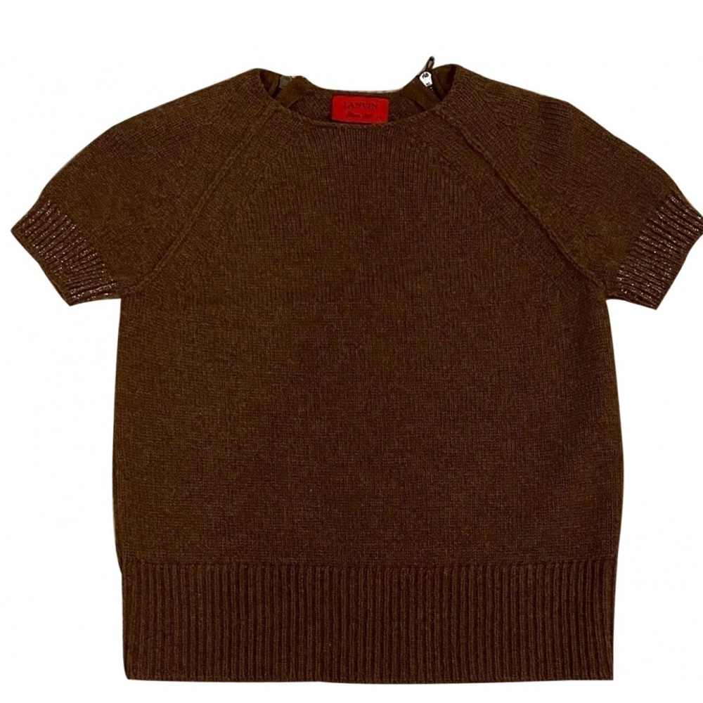 Lanvin Chestnut Knit Top